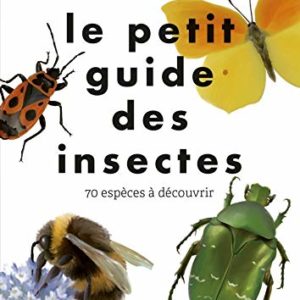 Le petit guide des insectes – First éditions