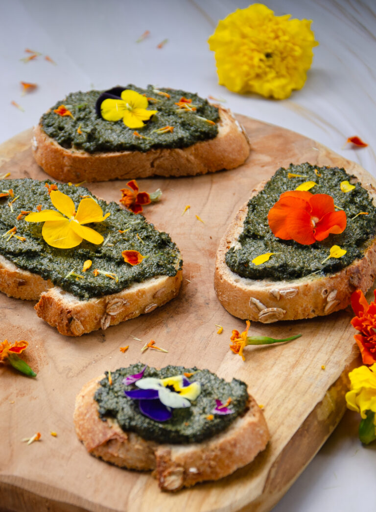 stages plantes sauvages bordeaux