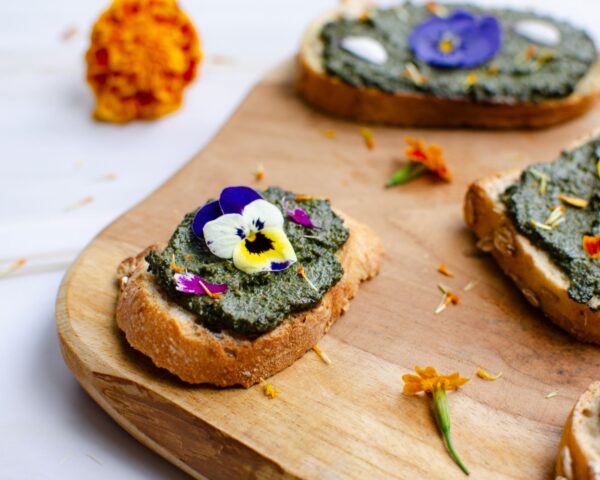 E-book : cuisine sauvage – Image 4