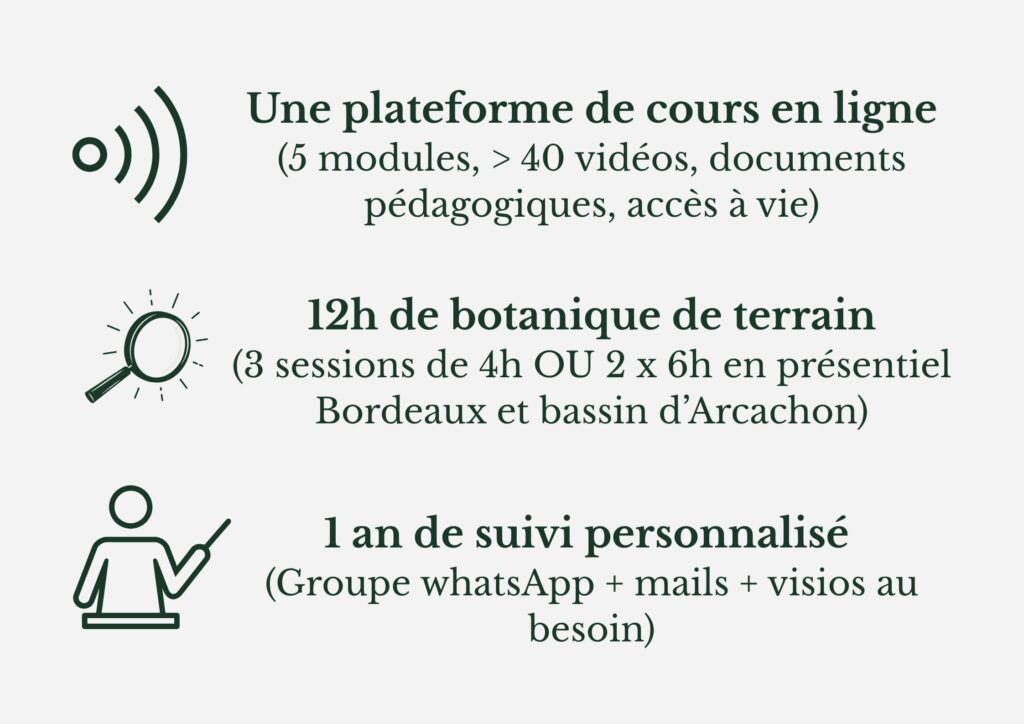 formation cueillette sauvage bordeaux