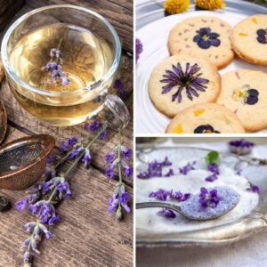 Pack « initiation » : cuisine sauvage & herboristerie
